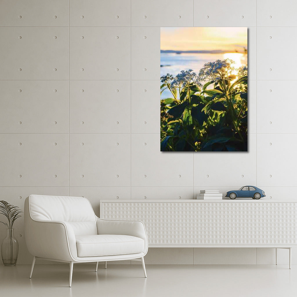 Chamomile Sunny Triumph: Blue and Yellow Flower Waltz