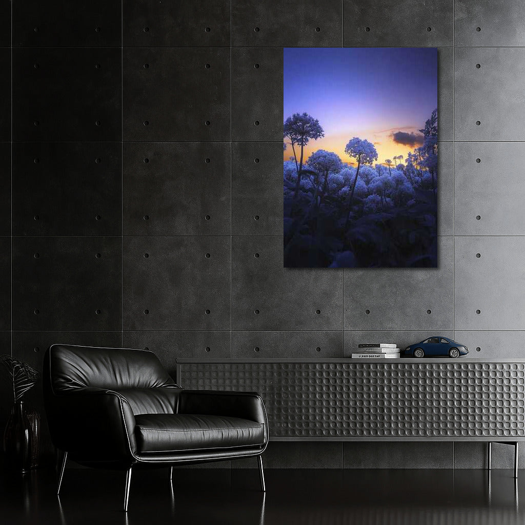 Blue Flowers at Sunset: Gentle Touch of Nature