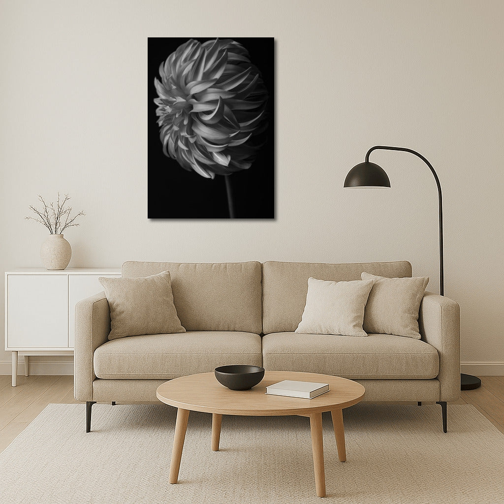 Black and White Dahlia: Elegant Floral Decor