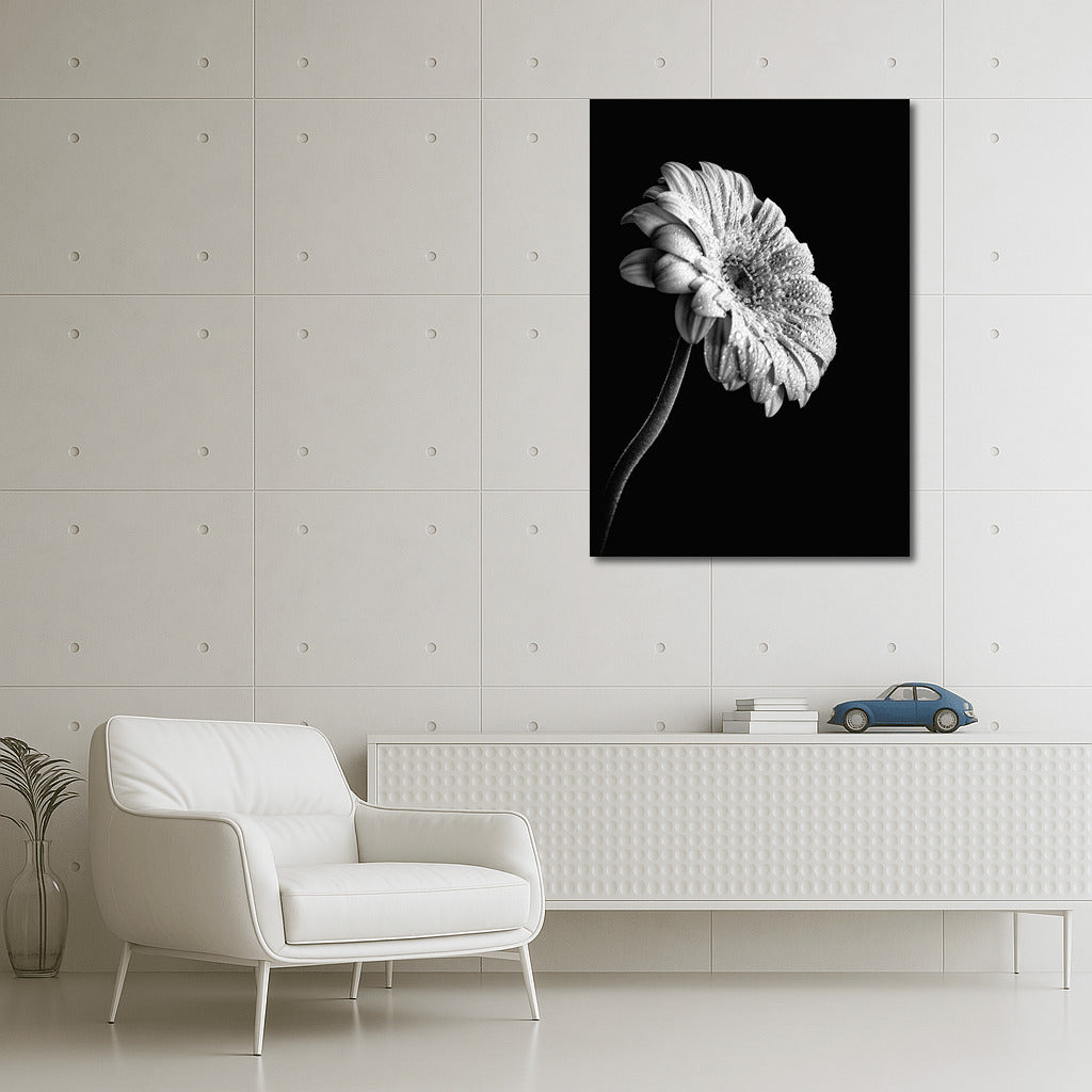 Gerbera Elegance: A Delicate Flower for the Interior