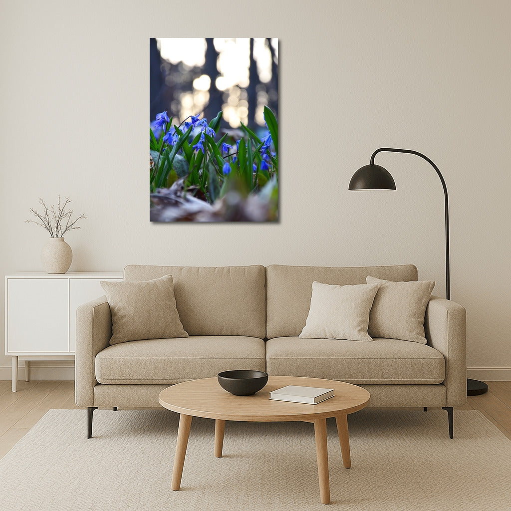 Blue Scylla: Awakening Spring in Your Interior