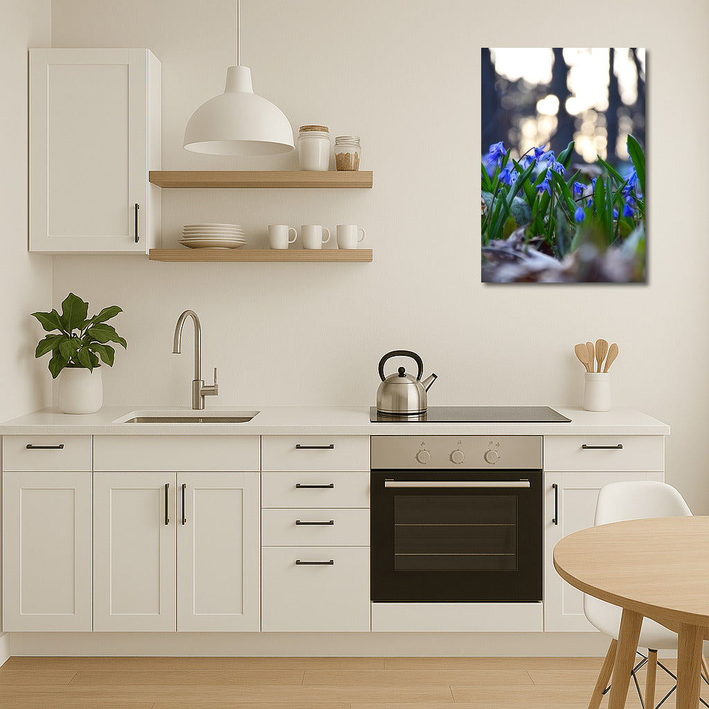 Blue Scylla: Awakening Spring in Your Interior