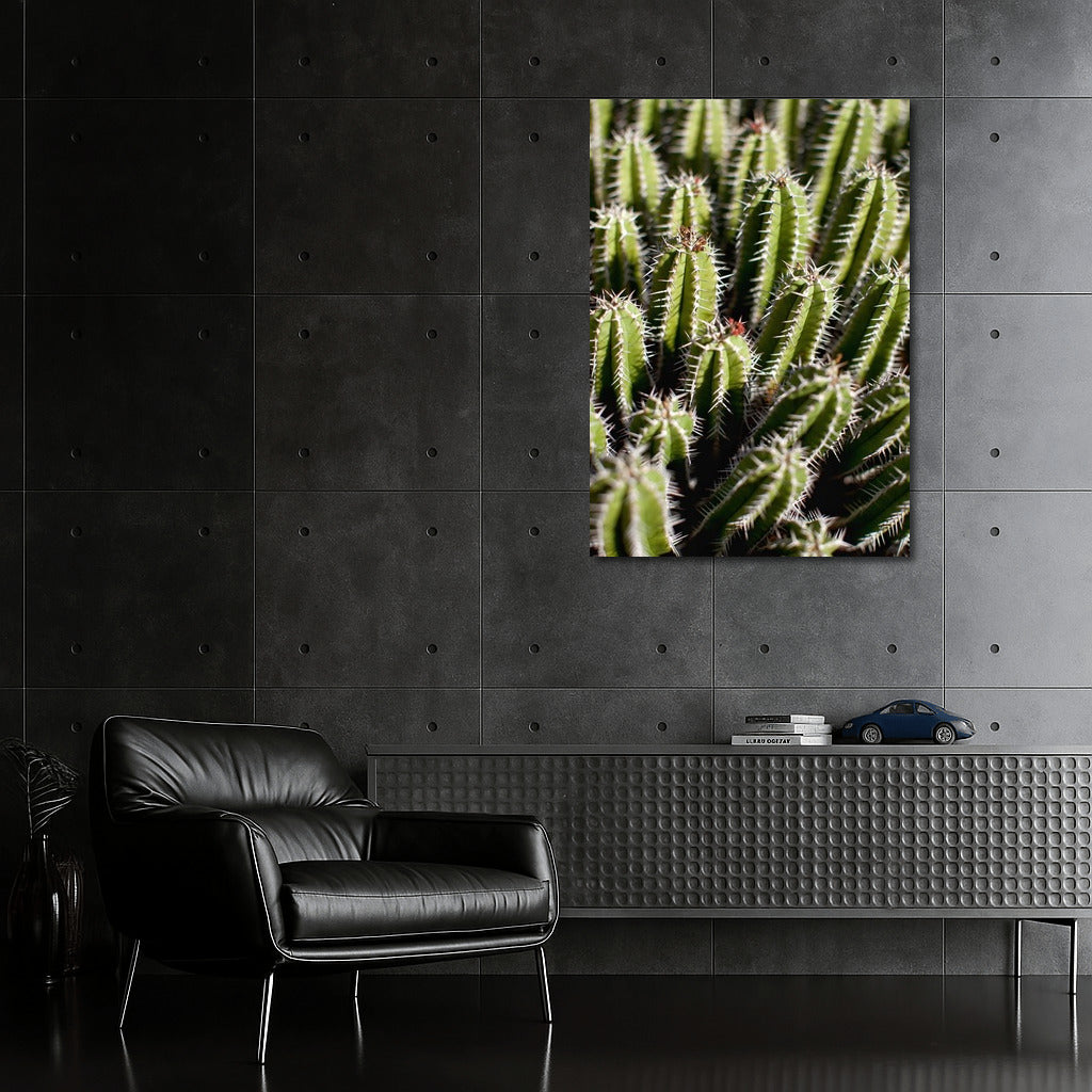 Green Dance of Cacti: Symphony of Nature