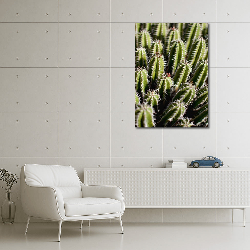 Green Dance of Cacti: Symphony of Nature