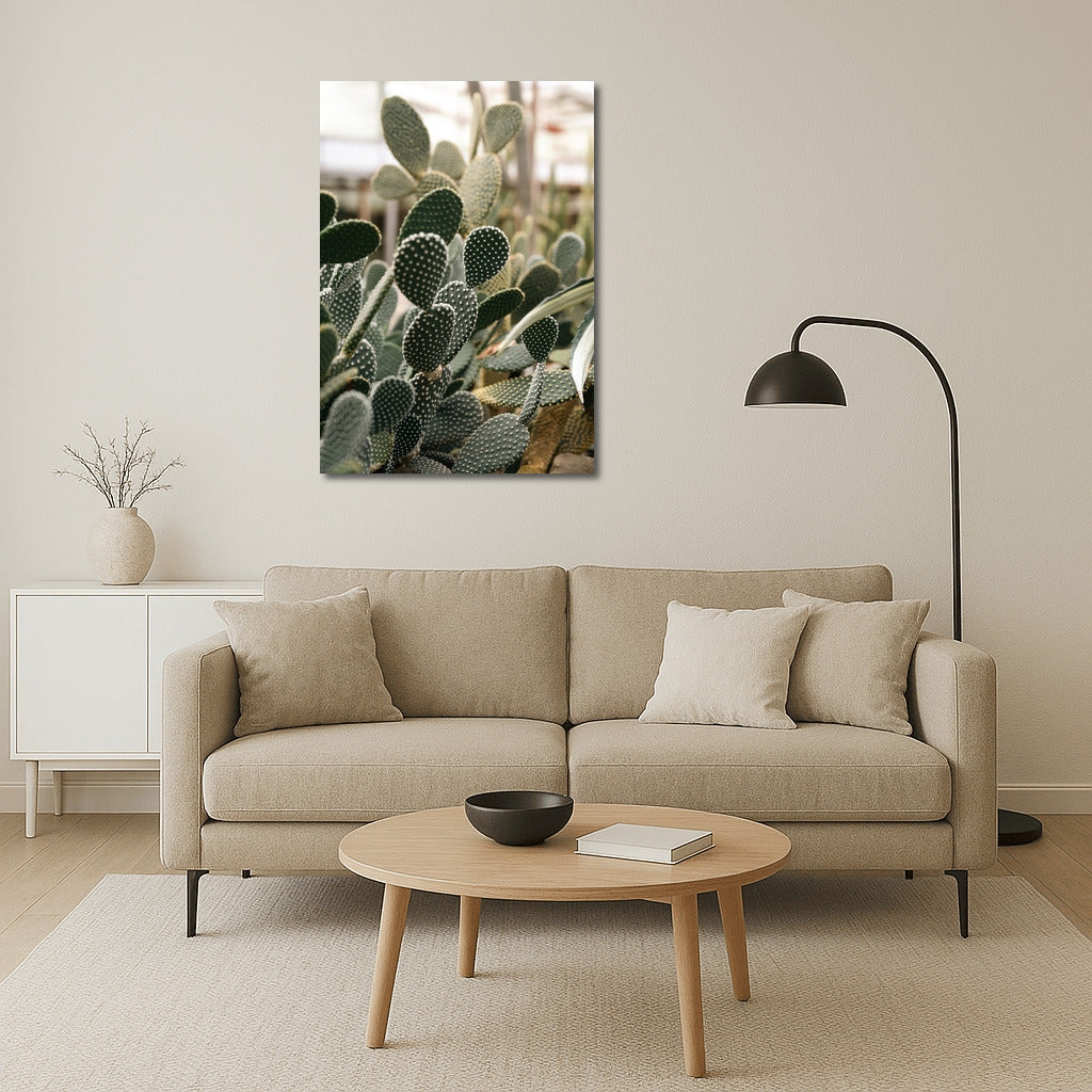 Floral Charm: Bright Cacti in the Interior