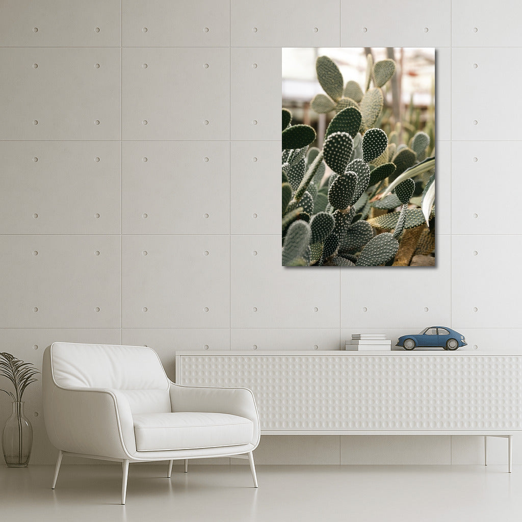 Floral Charm: Bright Cacti in the Interior