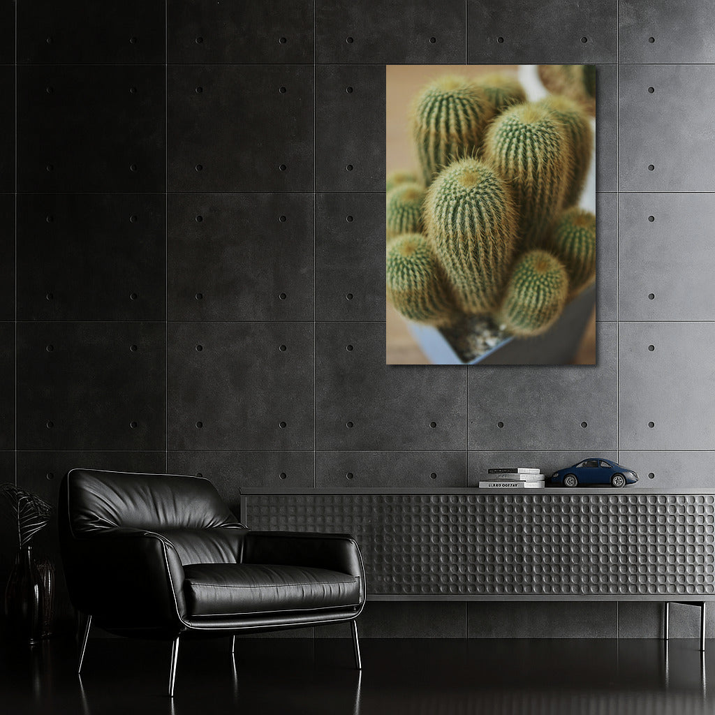 Desert Blooms: Cacti and Flowers