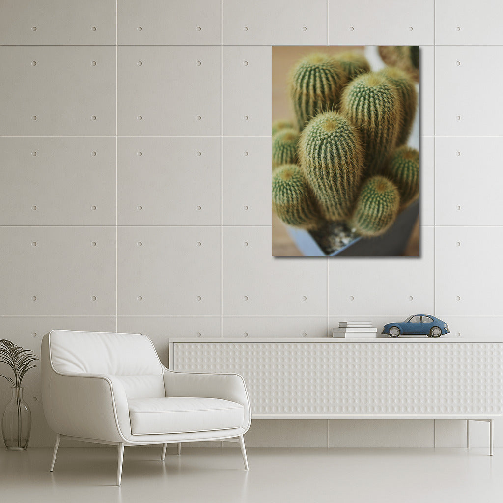 Desert Blooms: Cacti and Flowers