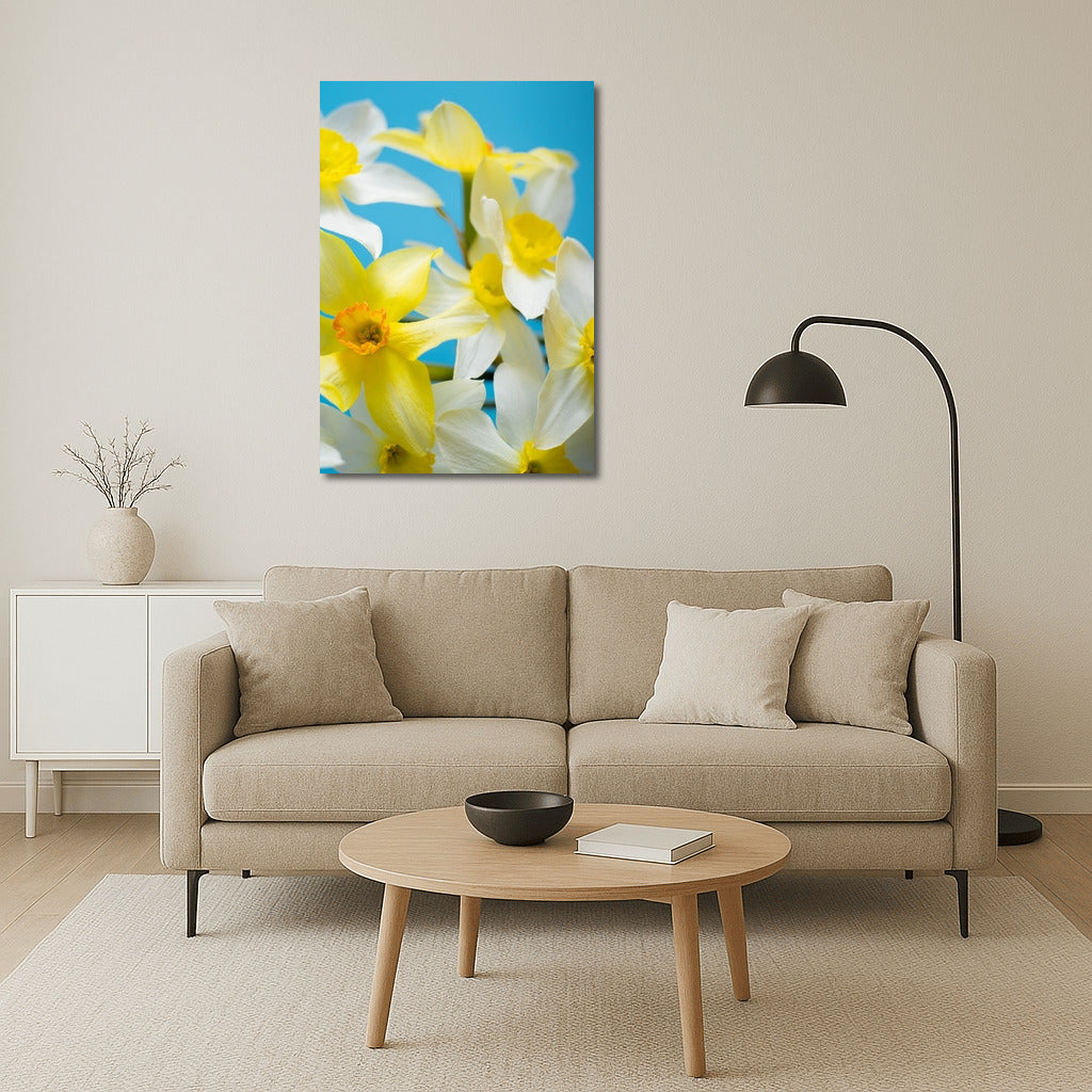 Floral Symphony: Yellow and White Daffodils of the Tête-à-Tête variety on a Blue Background