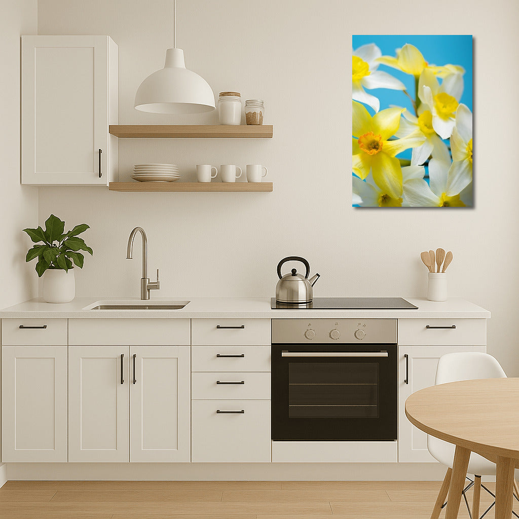 Floral Symphony: Yellow and White Daffodils of the Tête-à-Tête variety on a Blue Background