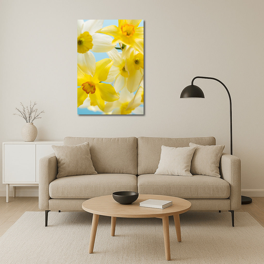 Daffodils 'Tete-a-Tete' on Blue Background: Spring Inspiration