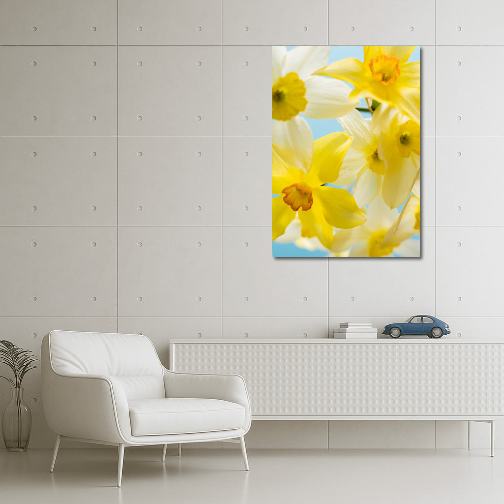 Daffodils 'Tete-a-Tete' on Blue Background: Spring Inspiration