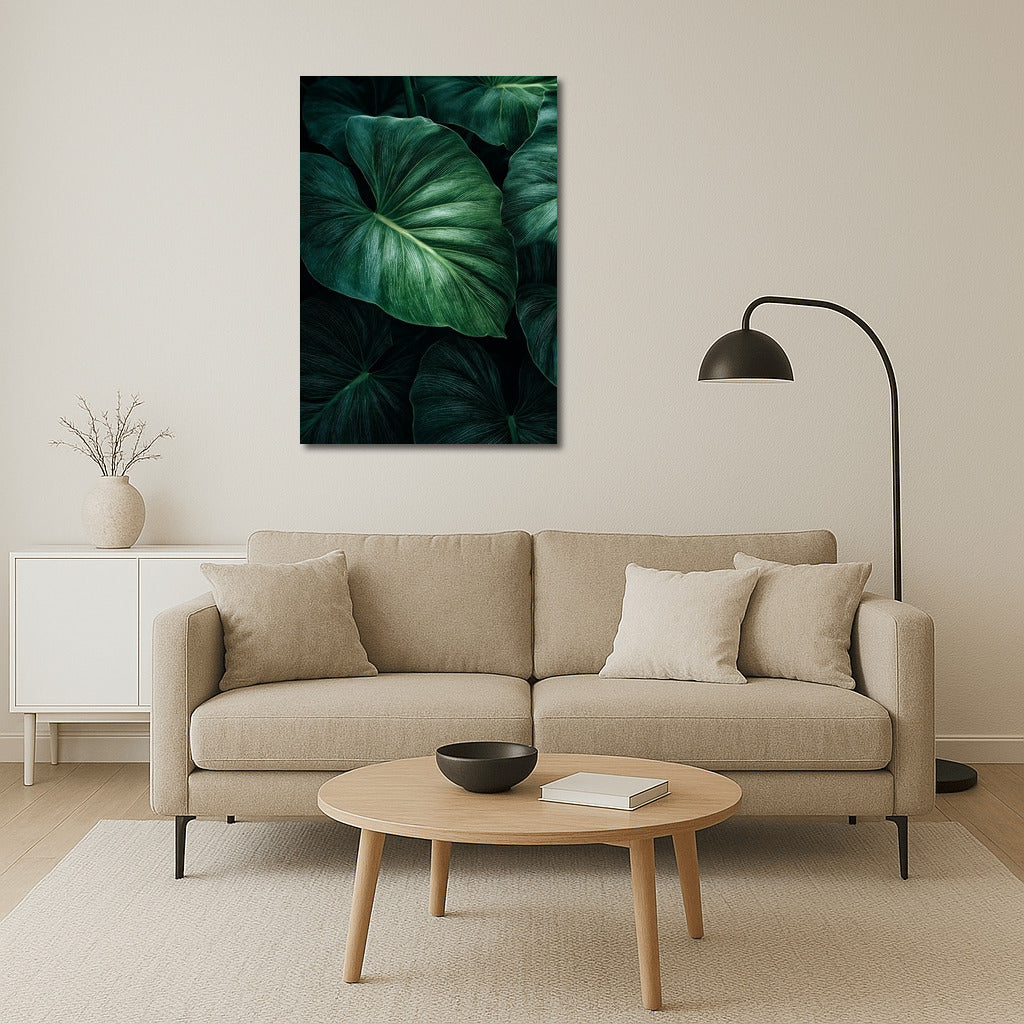 Philodendron Symphony: Elegant Leaves for the Interior