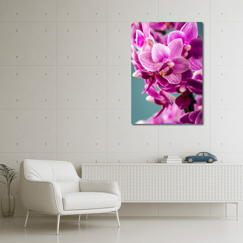 The Charm of Orchids: Delicate Flowers for the Interior
