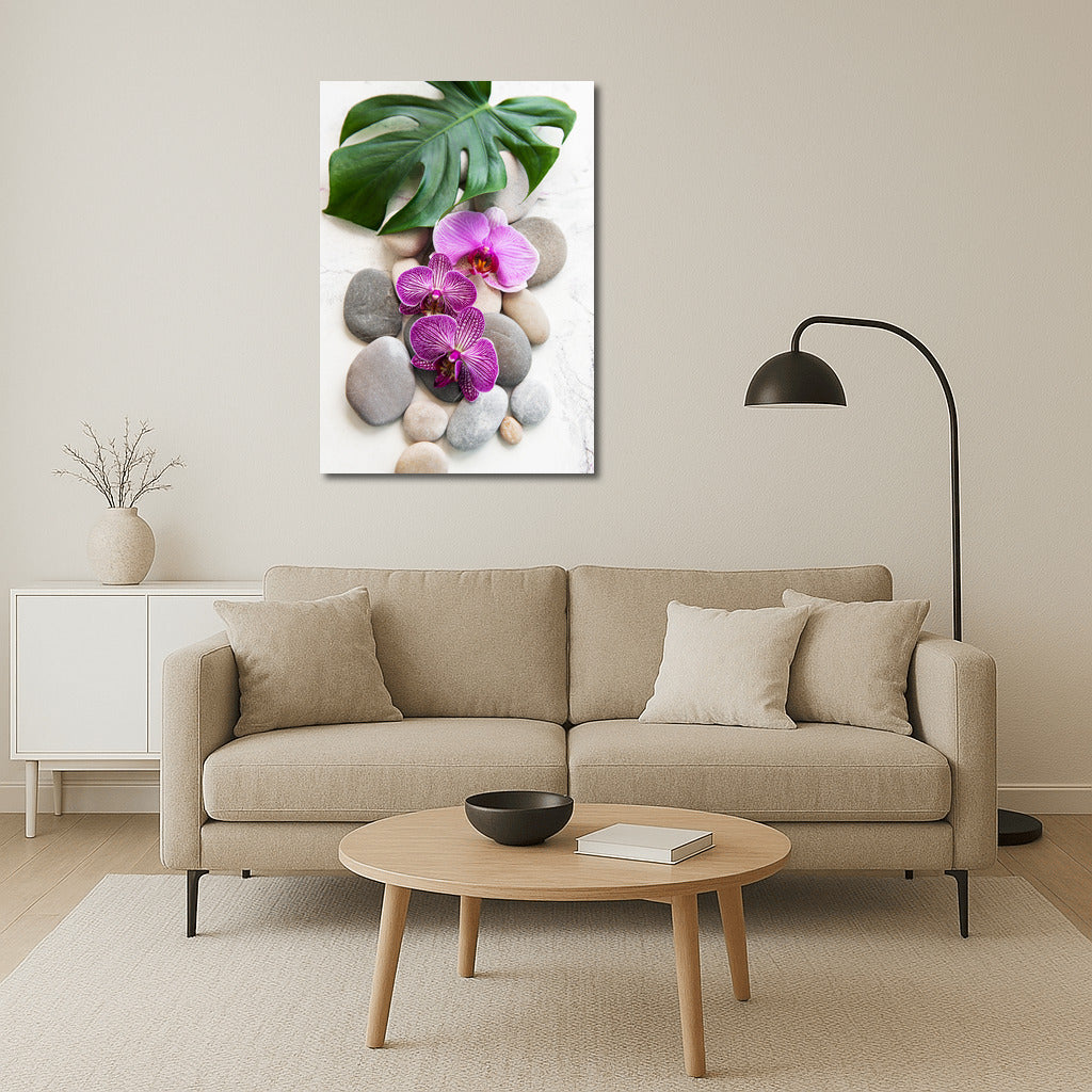 Phalaenopsis Orchids: Elegance on Rocks and Leaves