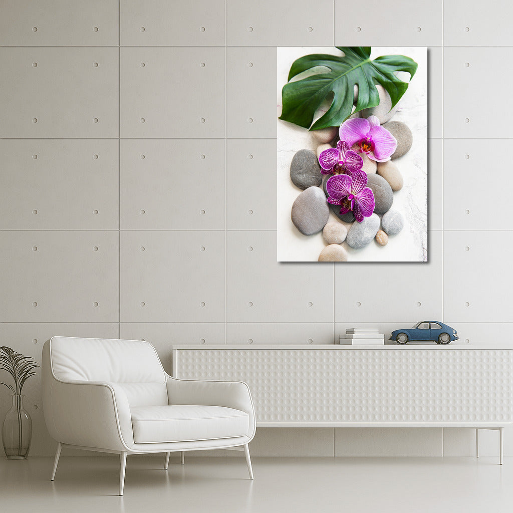 Phalaenopsis Orchids: Elegance on Rocks and Leaves