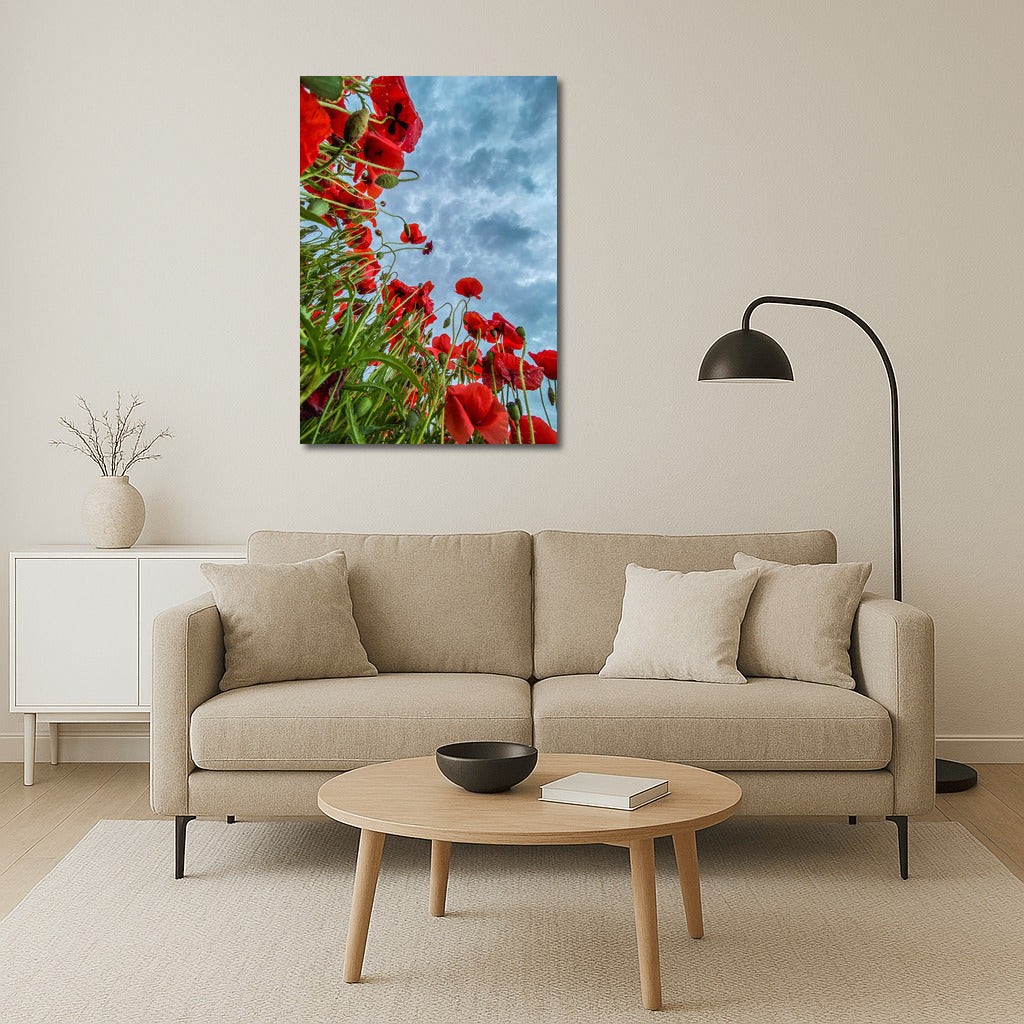 Celestial Poppies: Vibrant Flowers for Inspiration