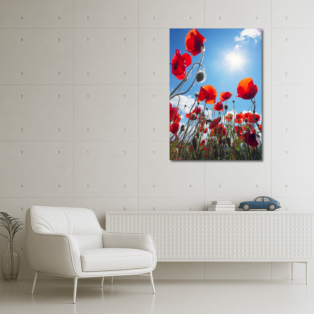 Flaming Poppies: A Vibrant Floral Accent for the Interior