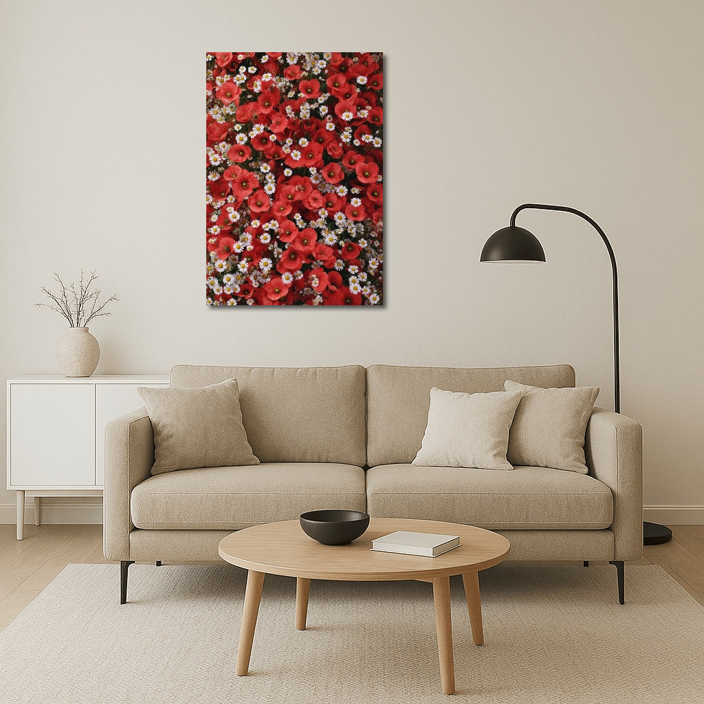 Field Charm: Poppies and Daisies for the Interior