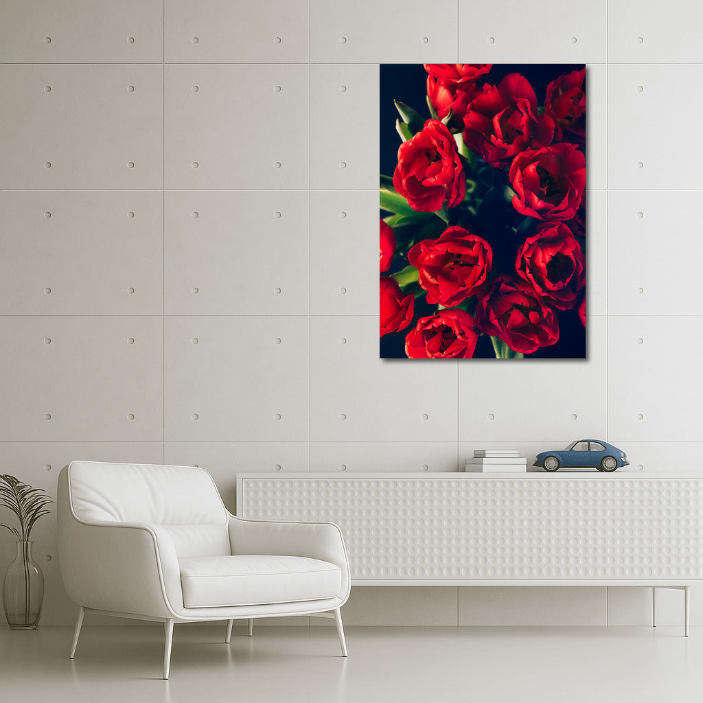 Darwin's Scarlet Tulips: Springtime Charm