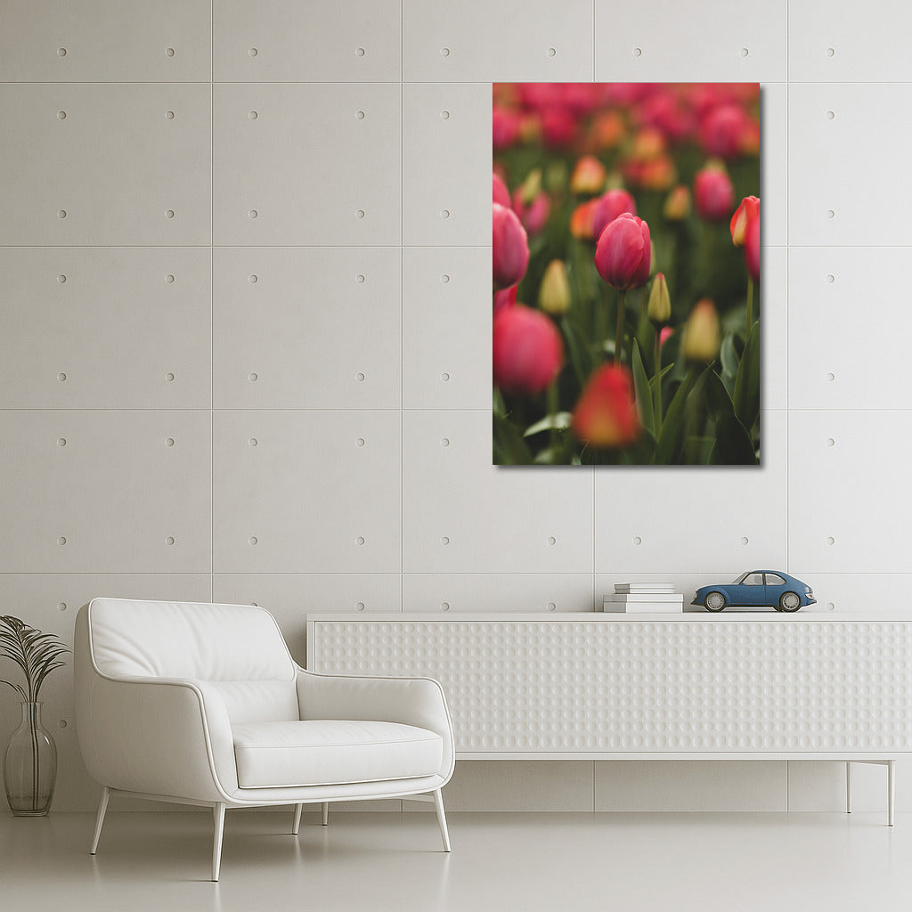 Tulips Pink Impression: Delicate Flowers for the Interior