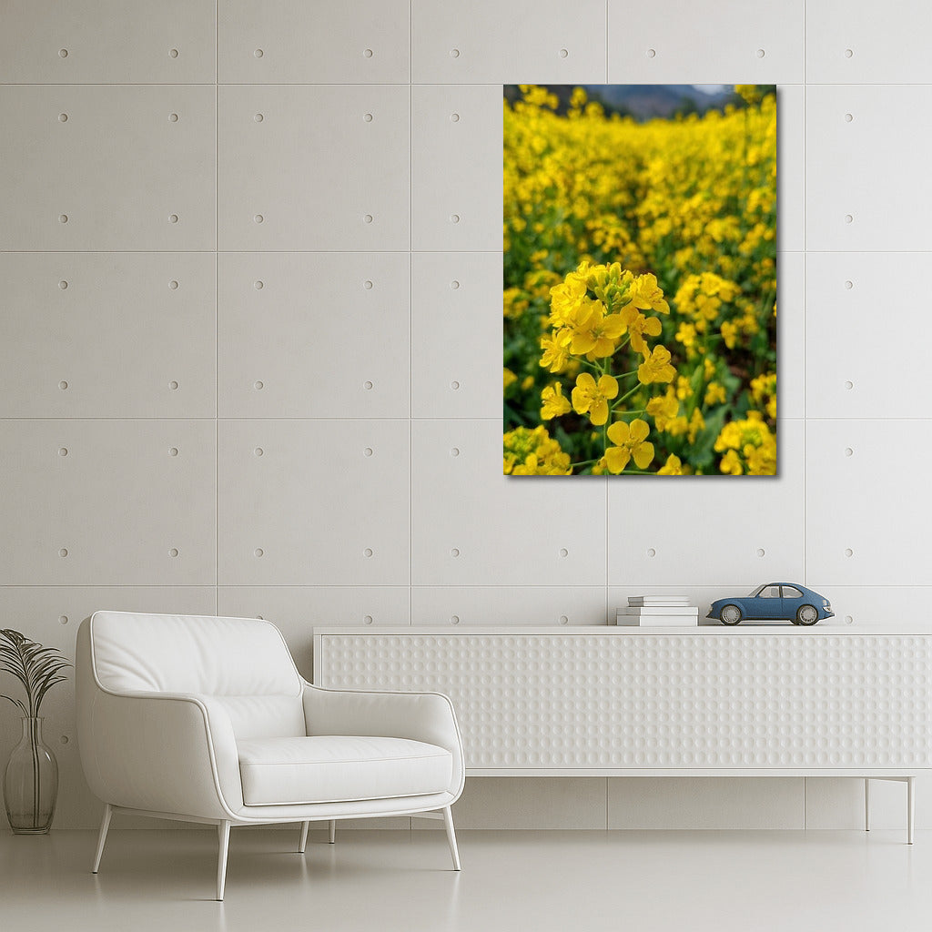 Sunny Dance of Rapeseed Flowers: Golden Symphony for Your Interior