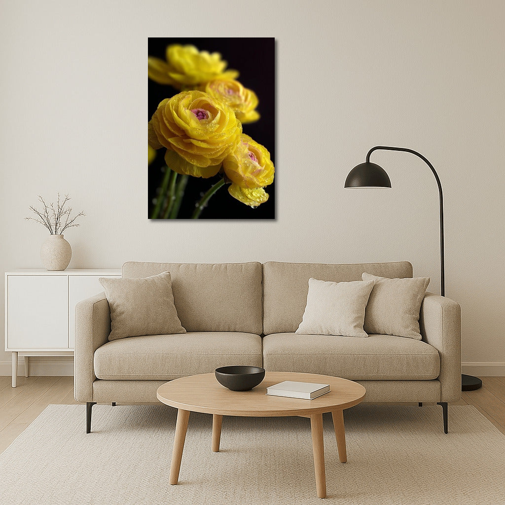 Sunny Ranunculus: Bright Yellow Flowers for the Interior