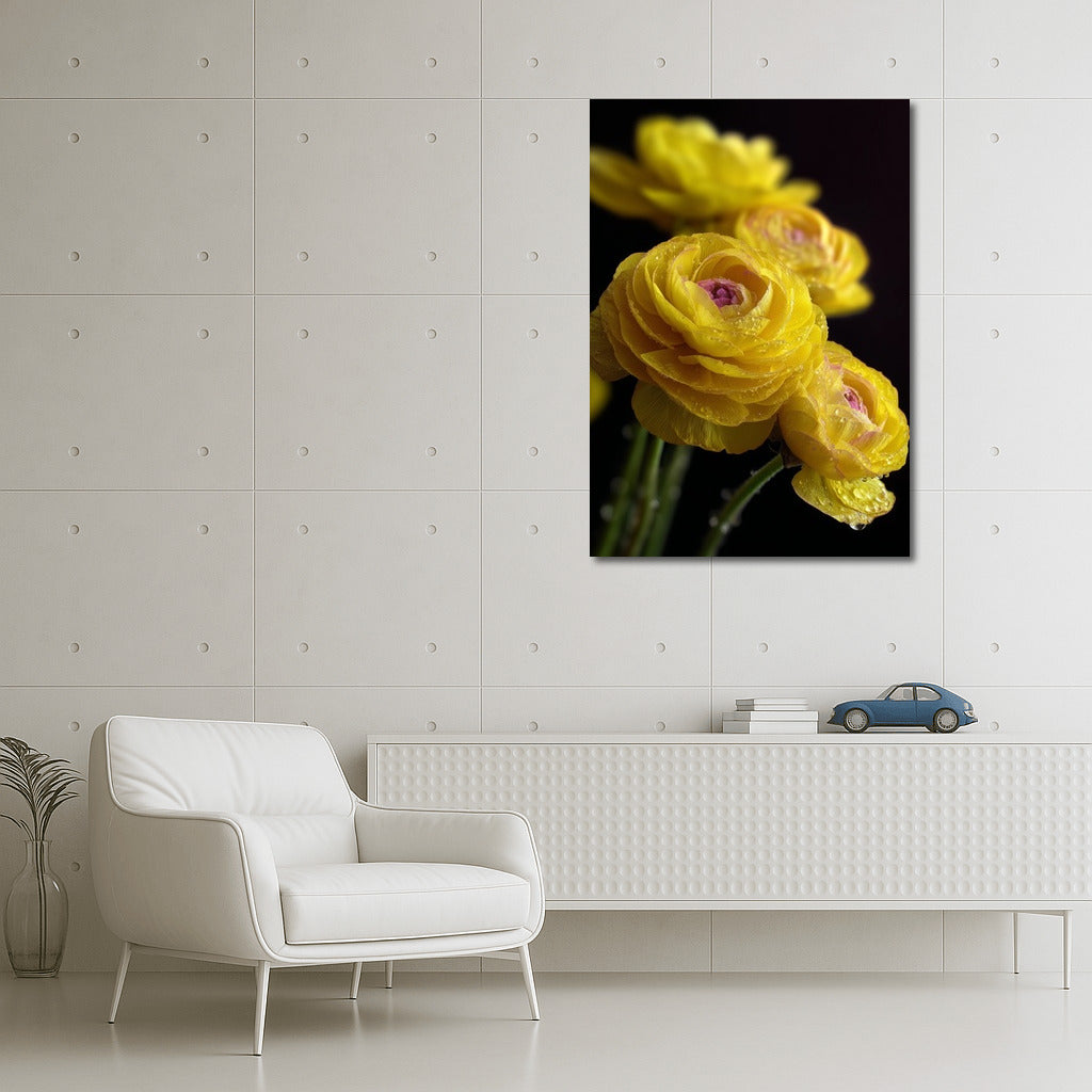 Sunny Ranunculus: Bright Yellow Flowers for the Interior
