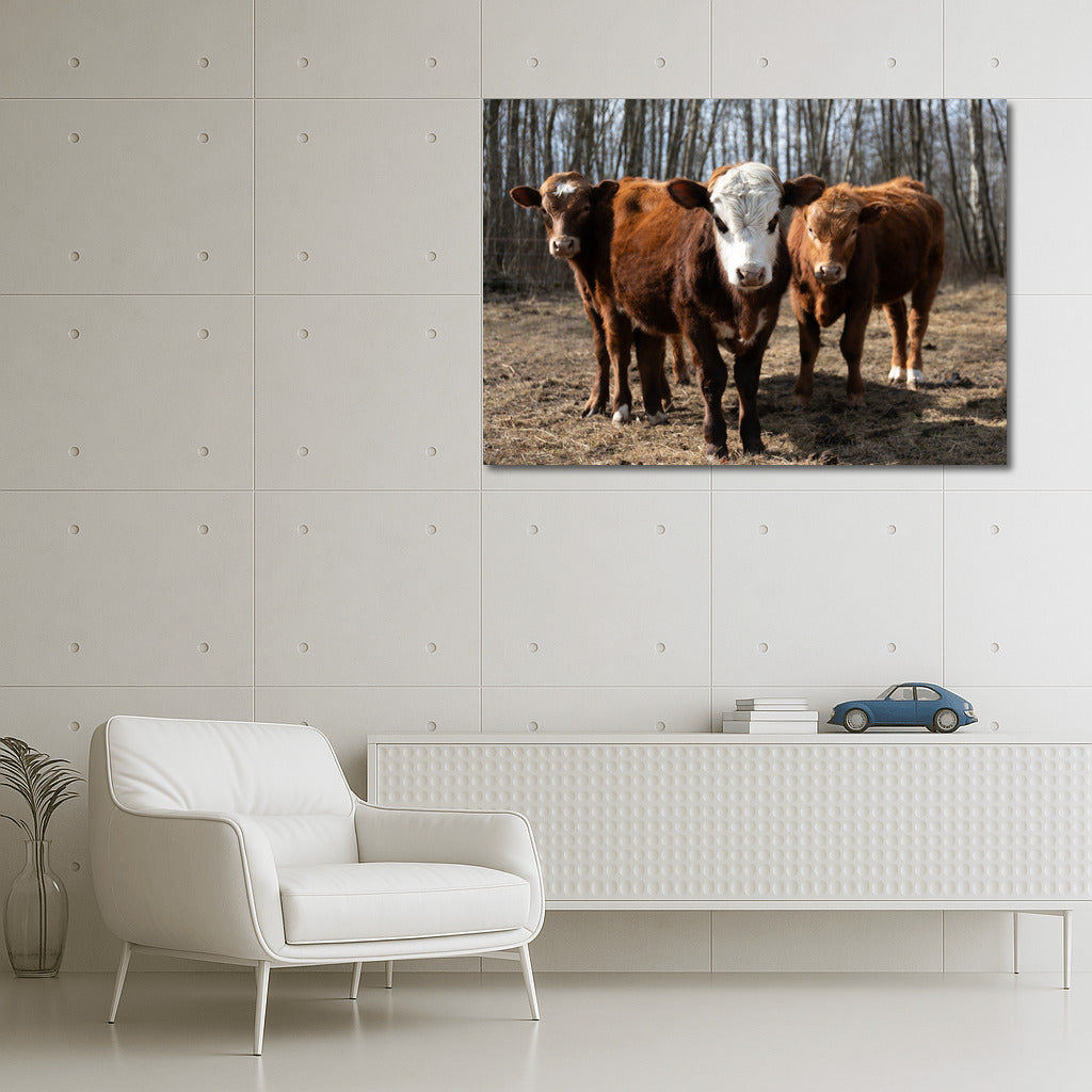 Idyll with Calves: Rural Landscape for Comfort