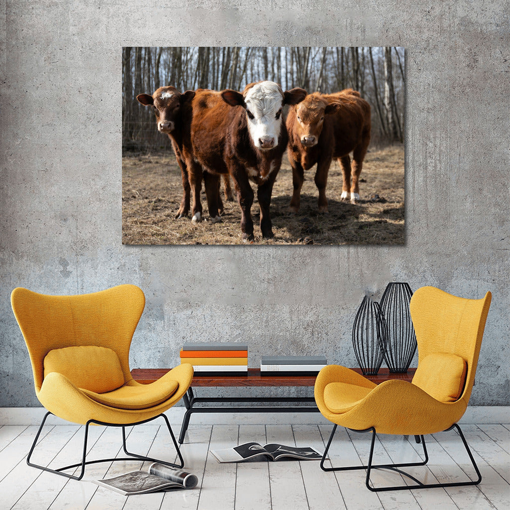 Idyll with Calves: Rural Landscape for Comfort