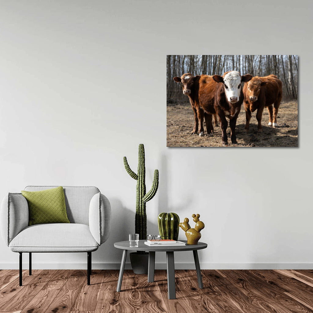 Idyll with Calves: Rural Landscape for Comfort