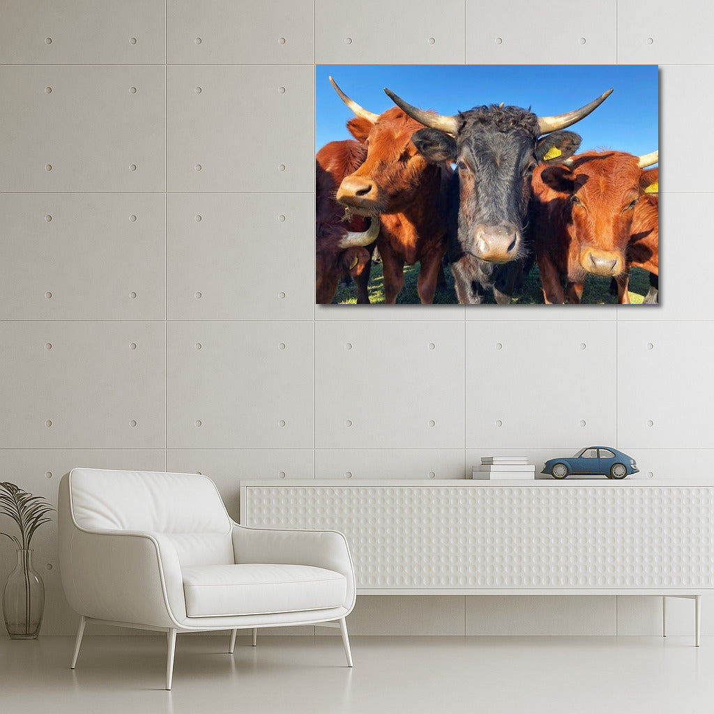 Idyll in the Pasture: Charming Cows for the Comfort of Your Home