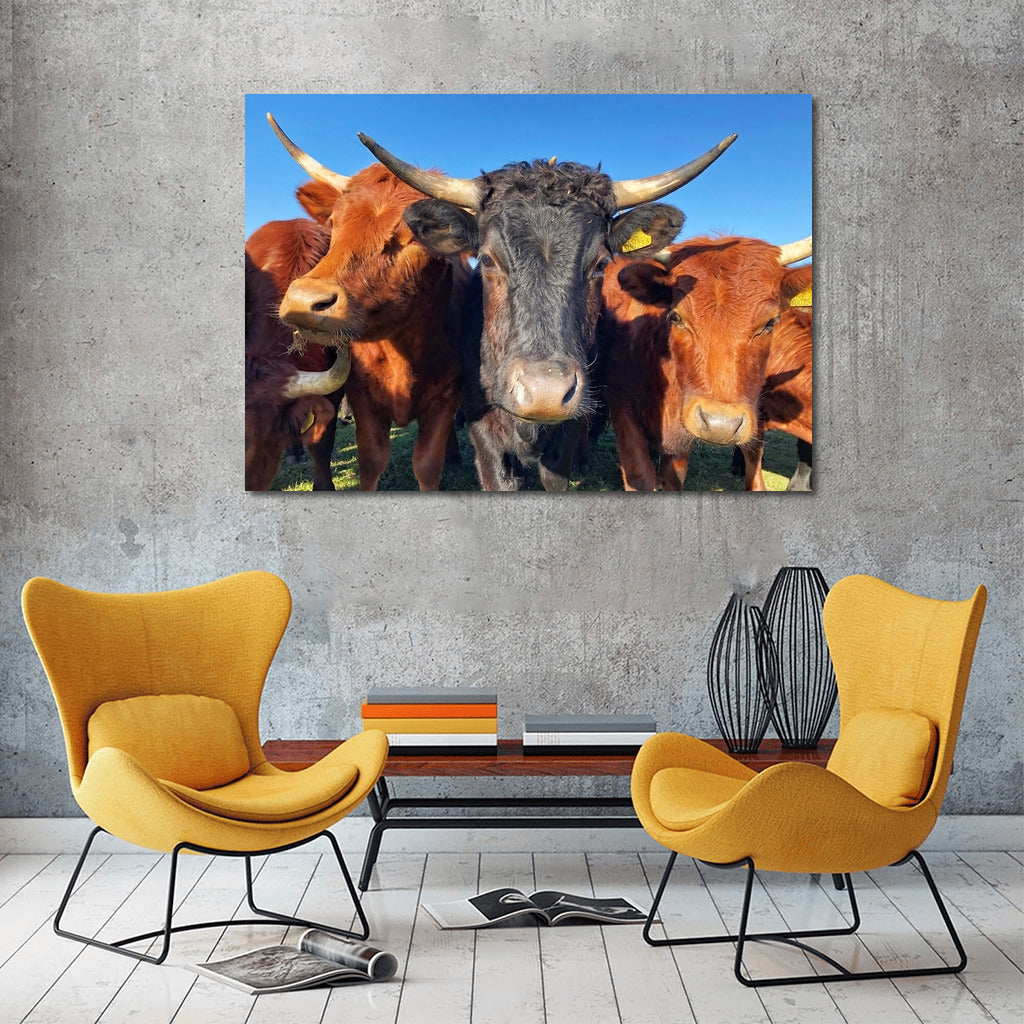 Idyll in the Pasture: Charming Cows for the Comfort of Your Home