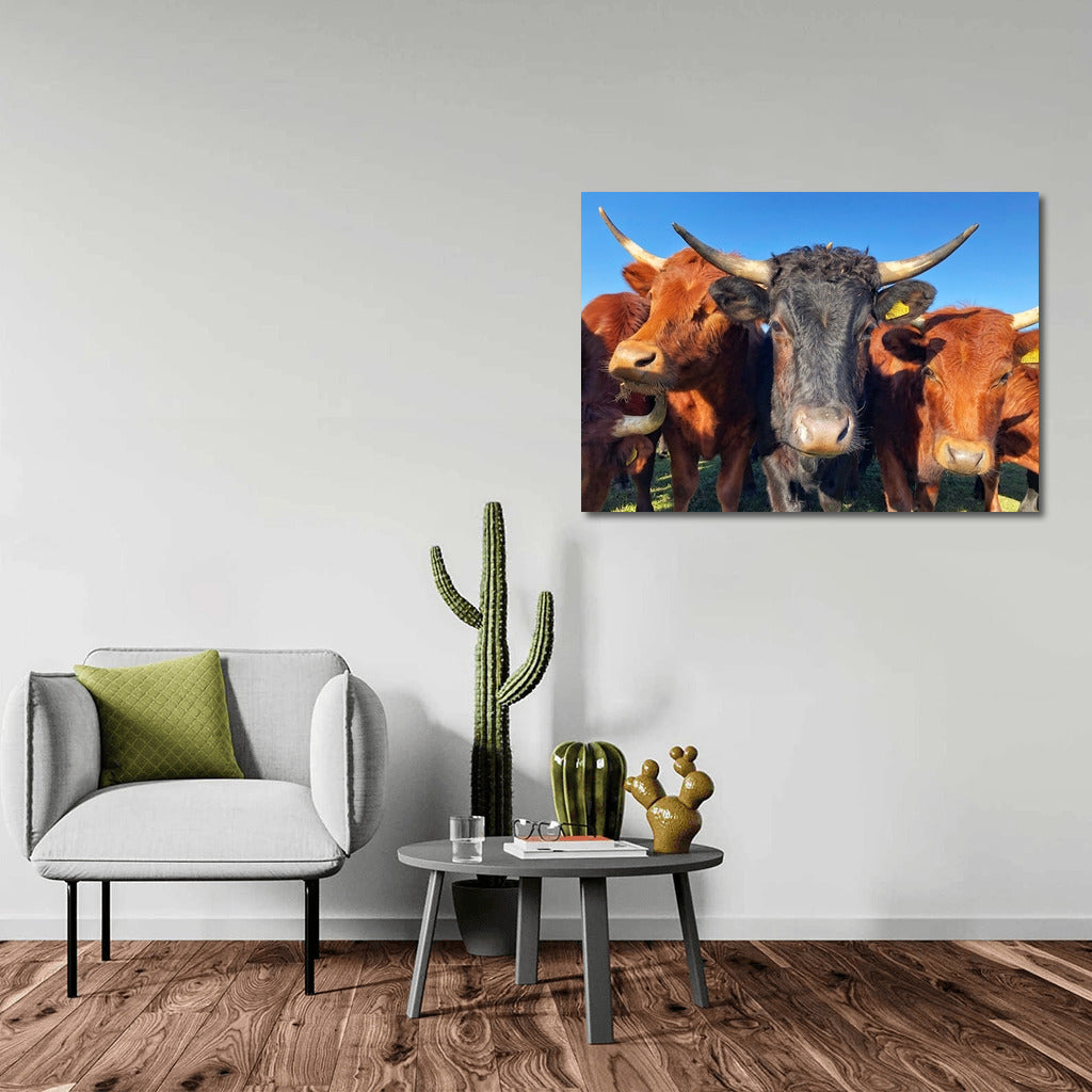 Idyll in the Pasture: Charming Cows for the Comfort of Your Home