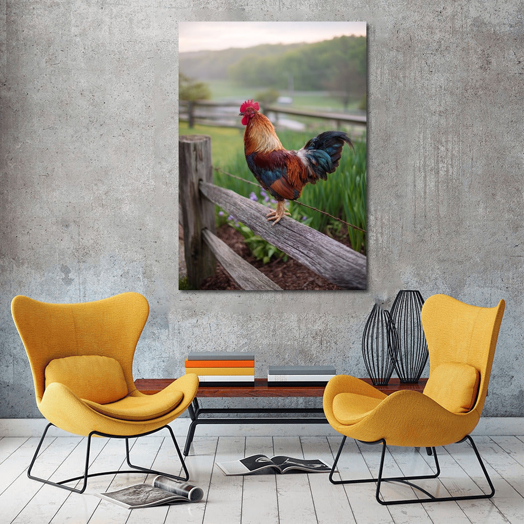 Majestic Rooster at Dawn: Bright Home Decor