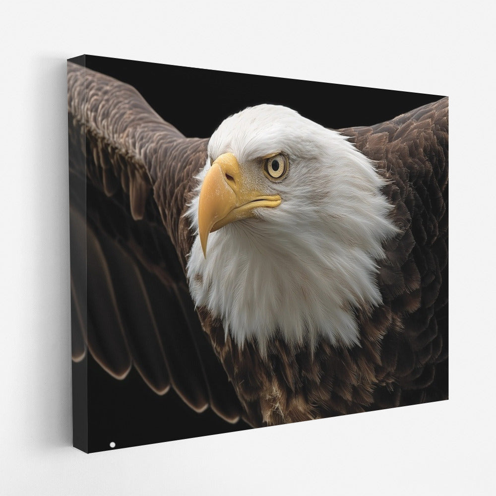 Bald Eagle: The Majesty of Flight