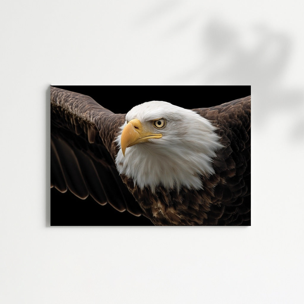 Bald Eagle: The Majesty of Flight