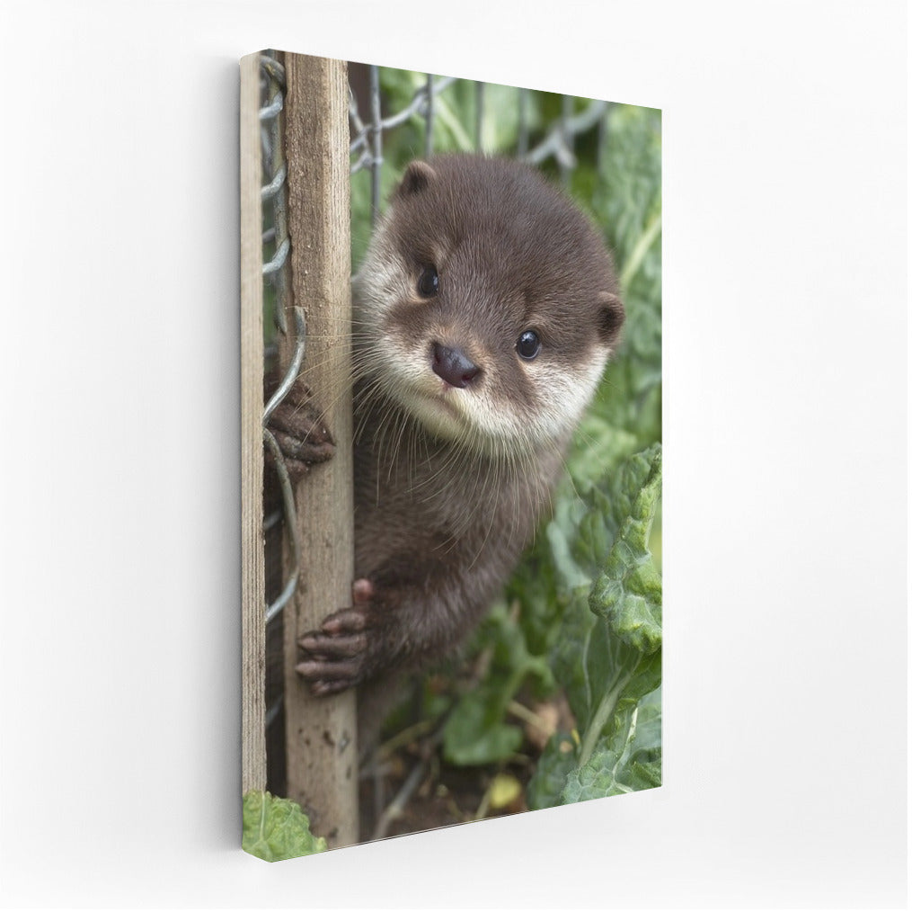 Cute river otter: comfort and warmth in your home