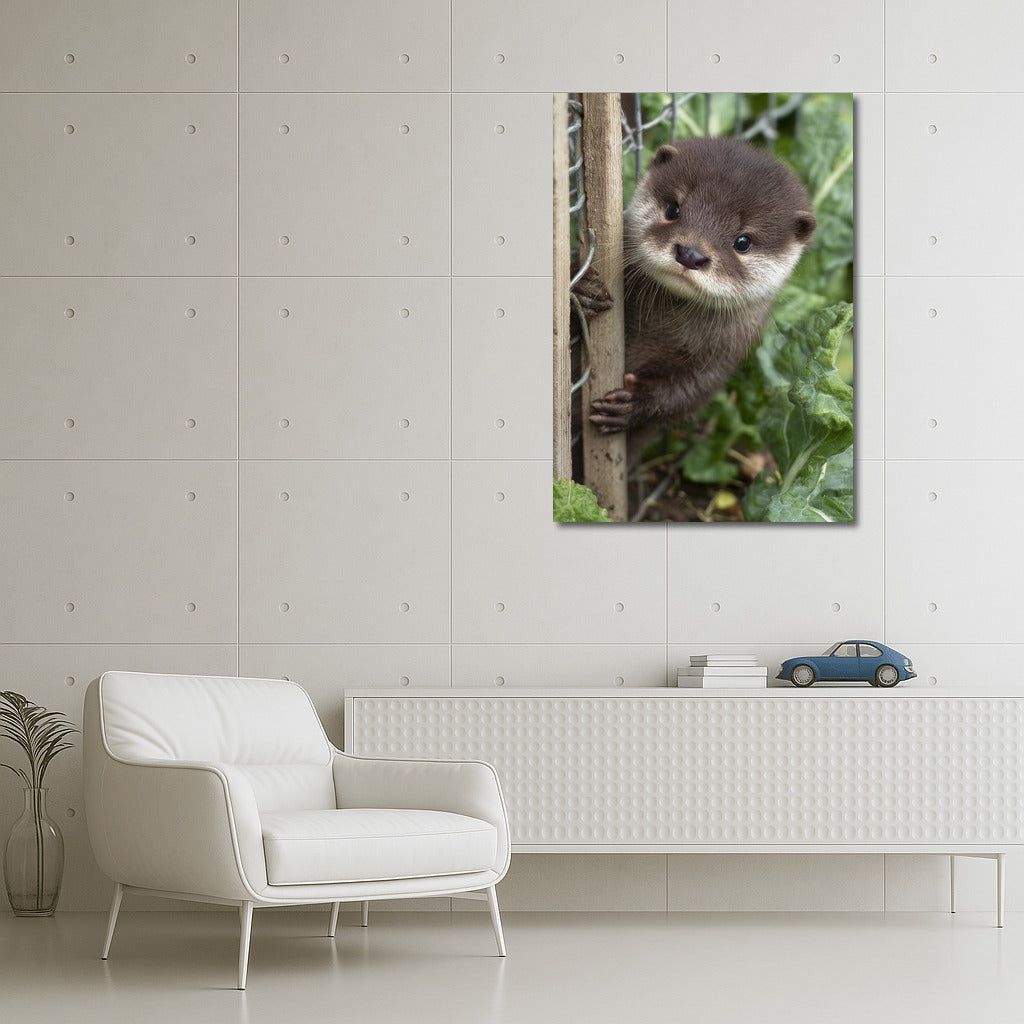 Cute river otter: comfort and warmth in your home