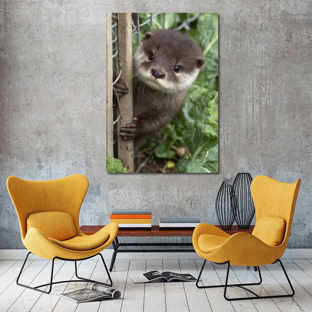 Cute river otter: comfort and warmth in your home