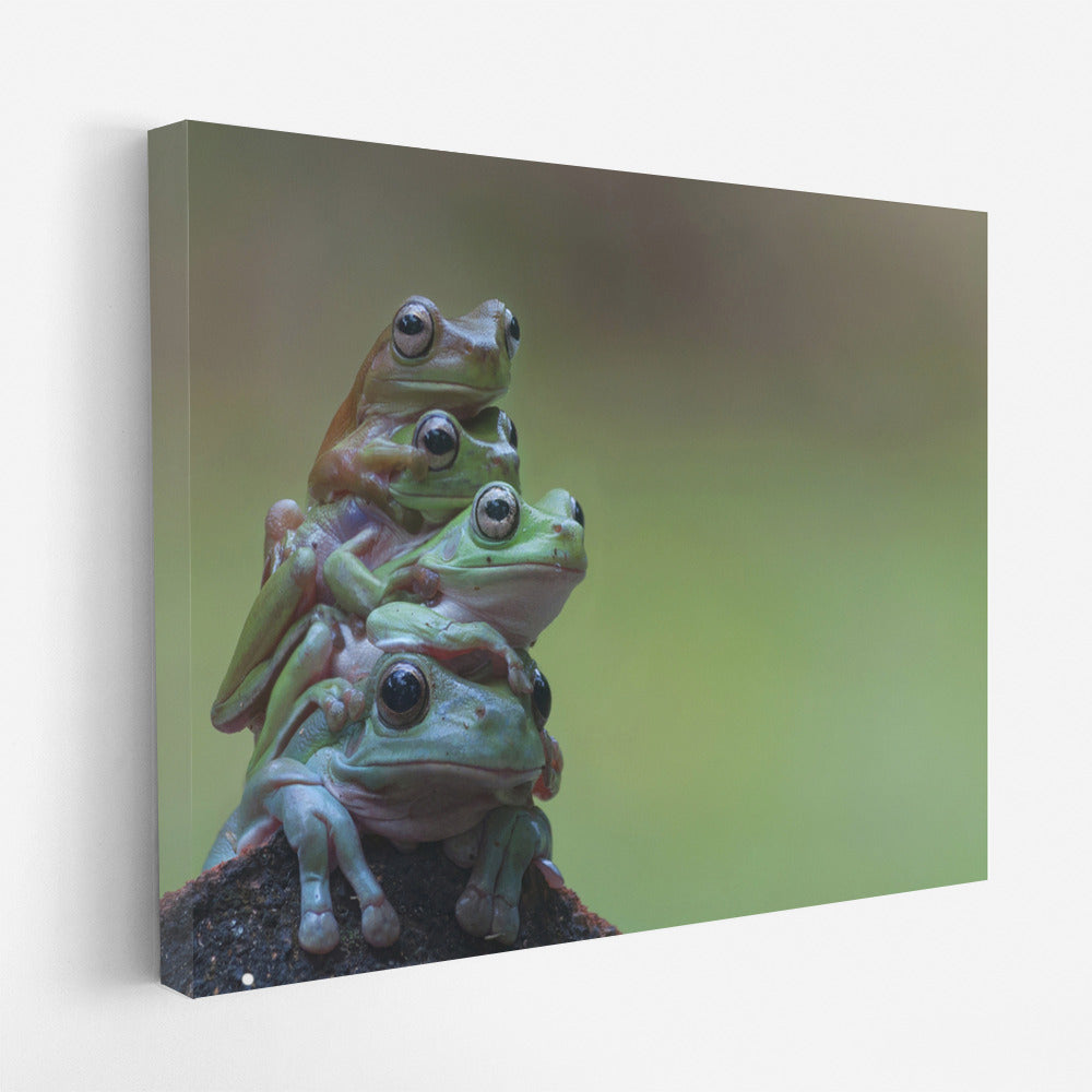 Frog Pyramid: Funny Green Frogs for Interior