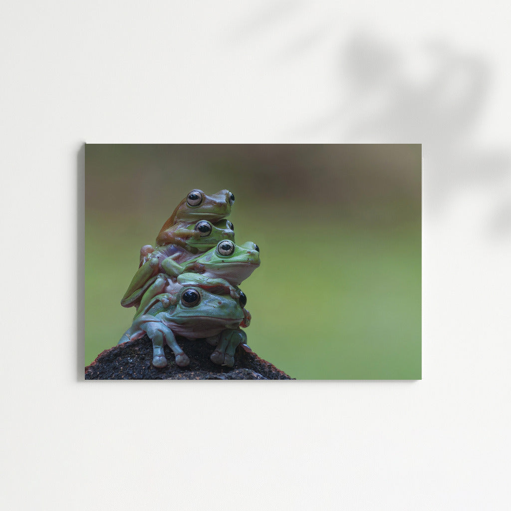 Frog Pyramid: Funny Green Frogs for Interior