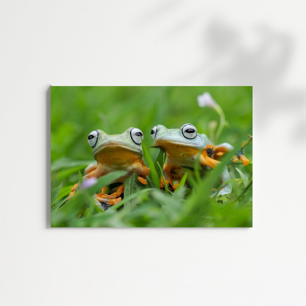 Tropical Poison Dart Frogs: Exotic Frogs in Vibrant Colors