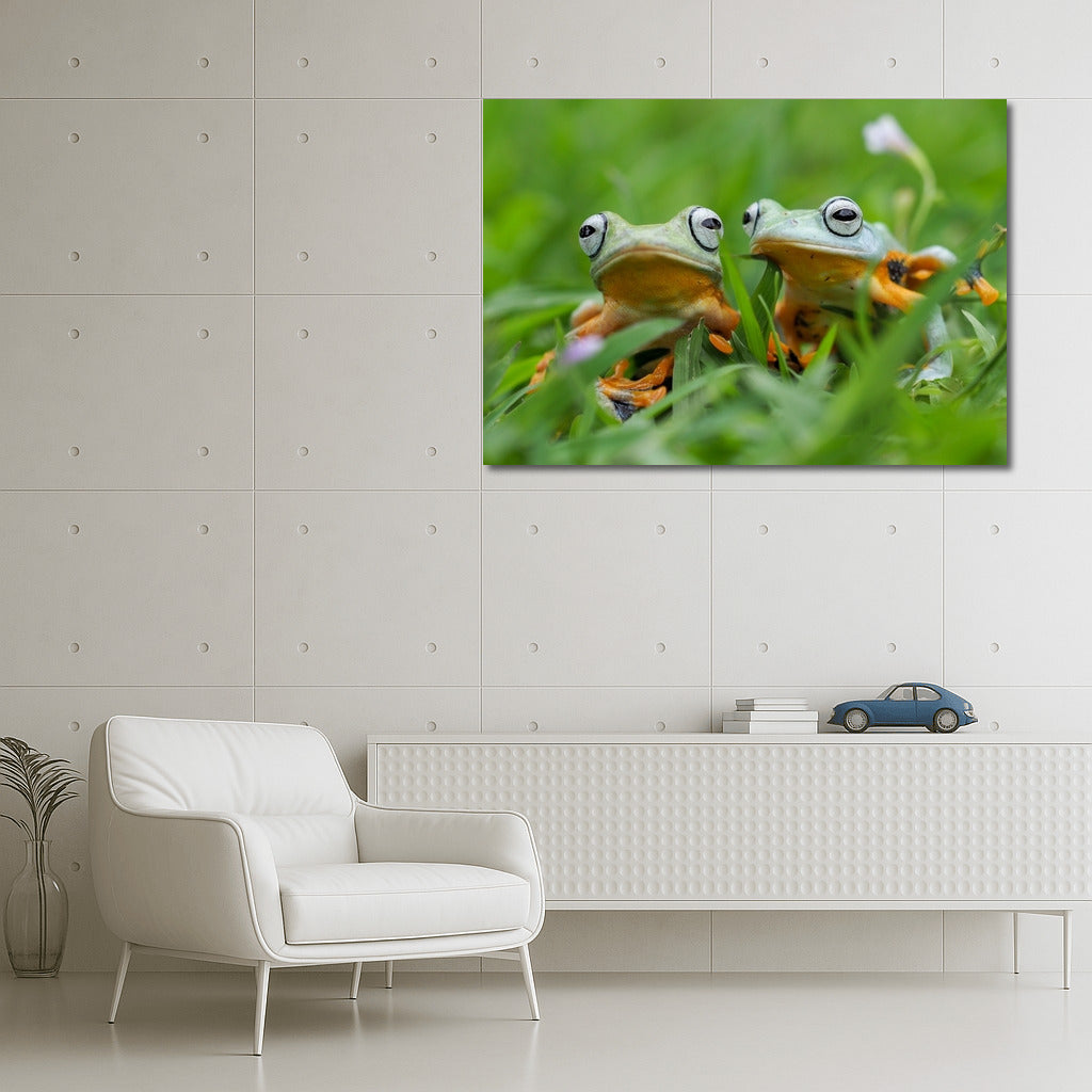 Tropical Poison Dart Frogs: Exotic Frogs in Vibrant Colors