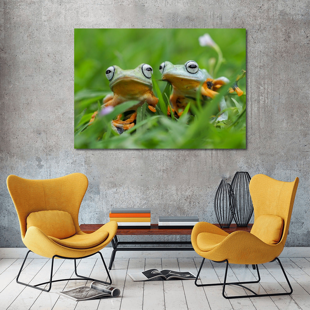 Tropical Poison Dart Frogs: Exotic Frogs in Vibrant Colors
