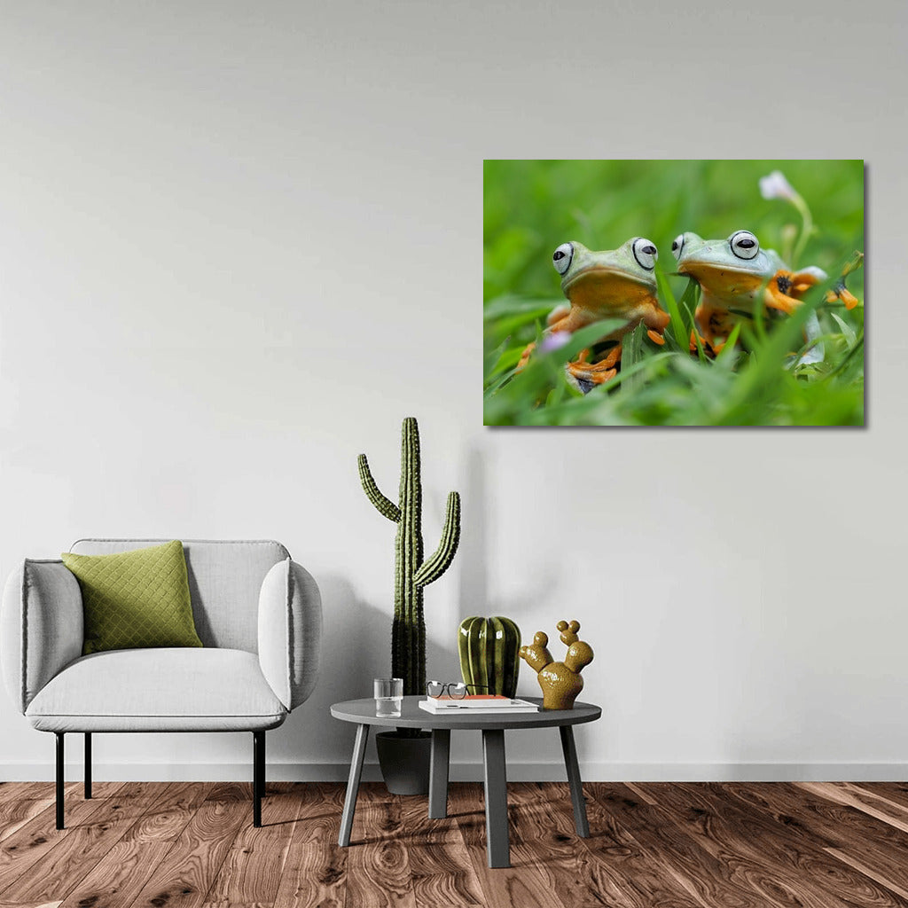 Tropical Poison Dart Frogs: Exotic Frogs in Vibrant Colors