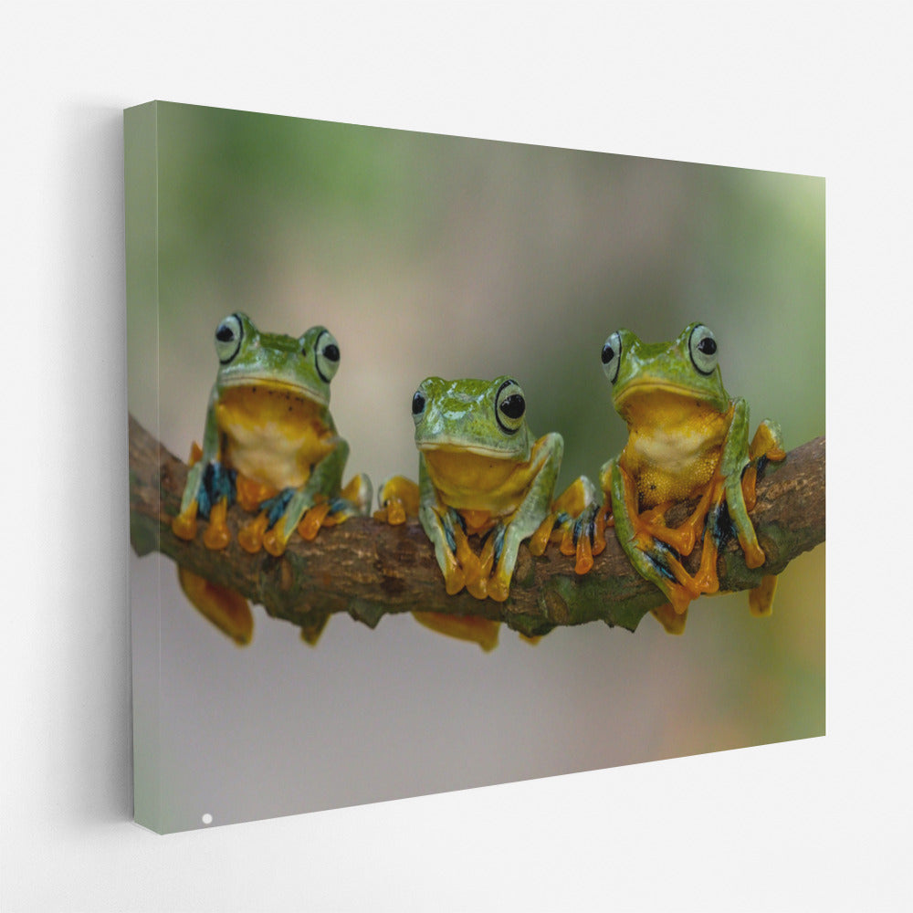 Three Happy Frogs: Fun Wall Decoration for Interior