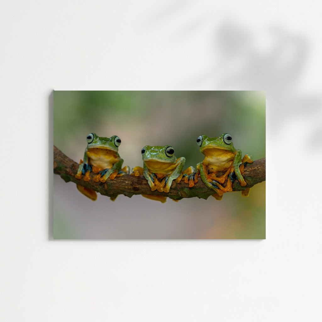 Three Happy Frogs: Fun Wall Decoration for Interior
