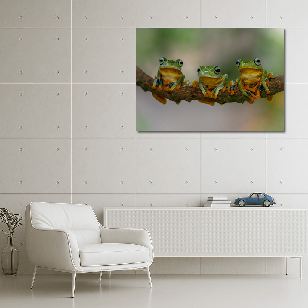 Three Happy Frogs: Fun Wall Decoration for Interior