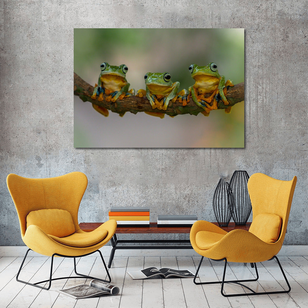 Three Happy Frogs: Fun Wall Decoration for Interior
